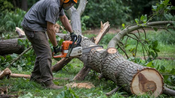 How quickly can we expect a response for emergency tree services?