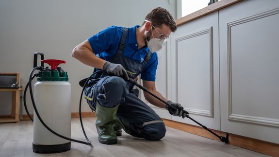 How do you ensure the safety of pets and children during pest control treatments?