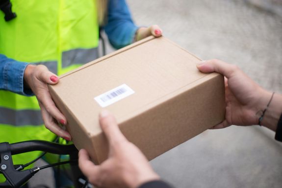 A Person Holding Brown Cardboard Box