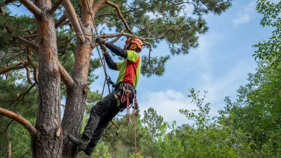 Sustainable Practices