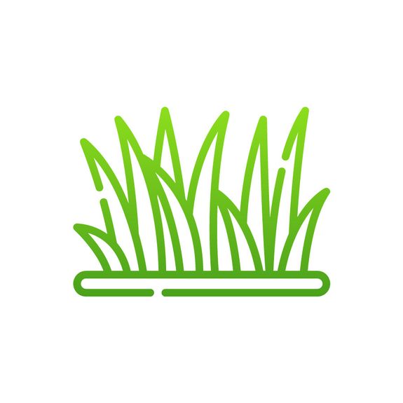Enjoy a Perfect Lawn