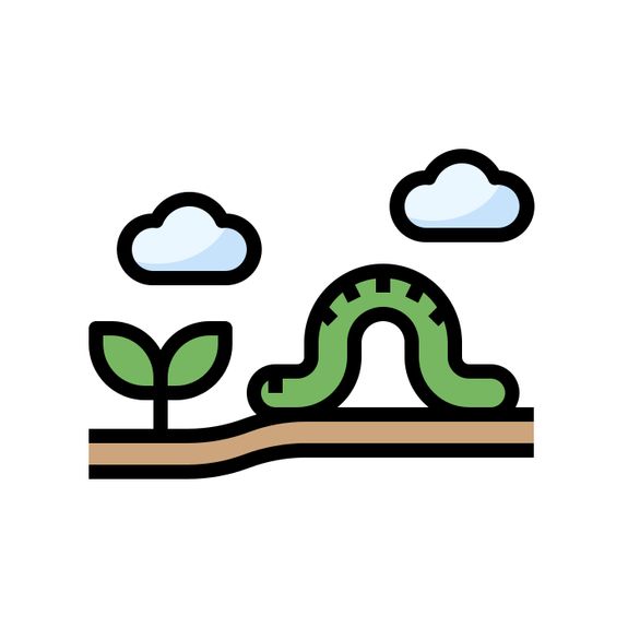 Eco-Friendly Solutions 