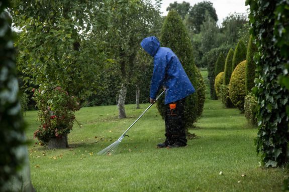 What does your Move-In/Move-Out cleaning service include?