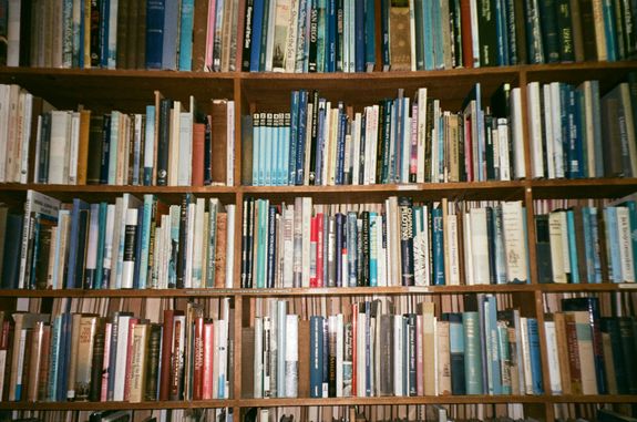 Books on Wooden Shelves