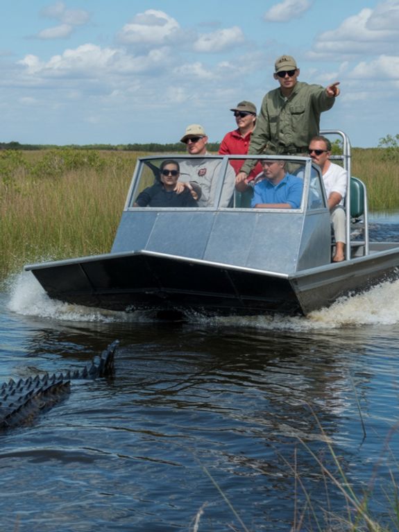Ultimate Everglades Wildlife Experience