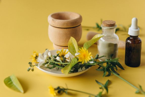 Yellow Flowers in Brown Clay Pot