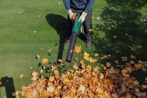Leaf Removal & Yard Cleanup