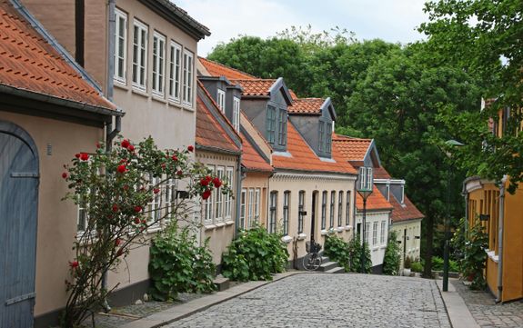 Scenic view of colorful houses lining a cobblestone street in Odense, Denmark.