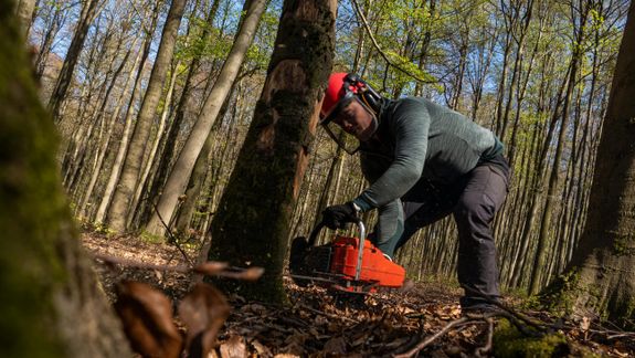 Man Cutting the Tree Using a Chainsaw 