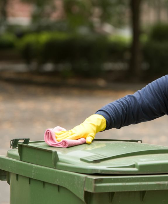 Trash & Recycling Bin Cleaning