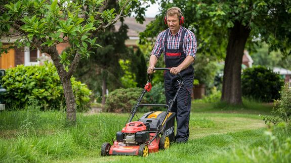 Expert Softscaping Services