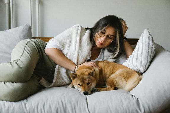 Relaxed young smiling lady with dark hair in casual clothes and eyeglasses stroking loyal napping Akita Inu dog while lying together on soft couch