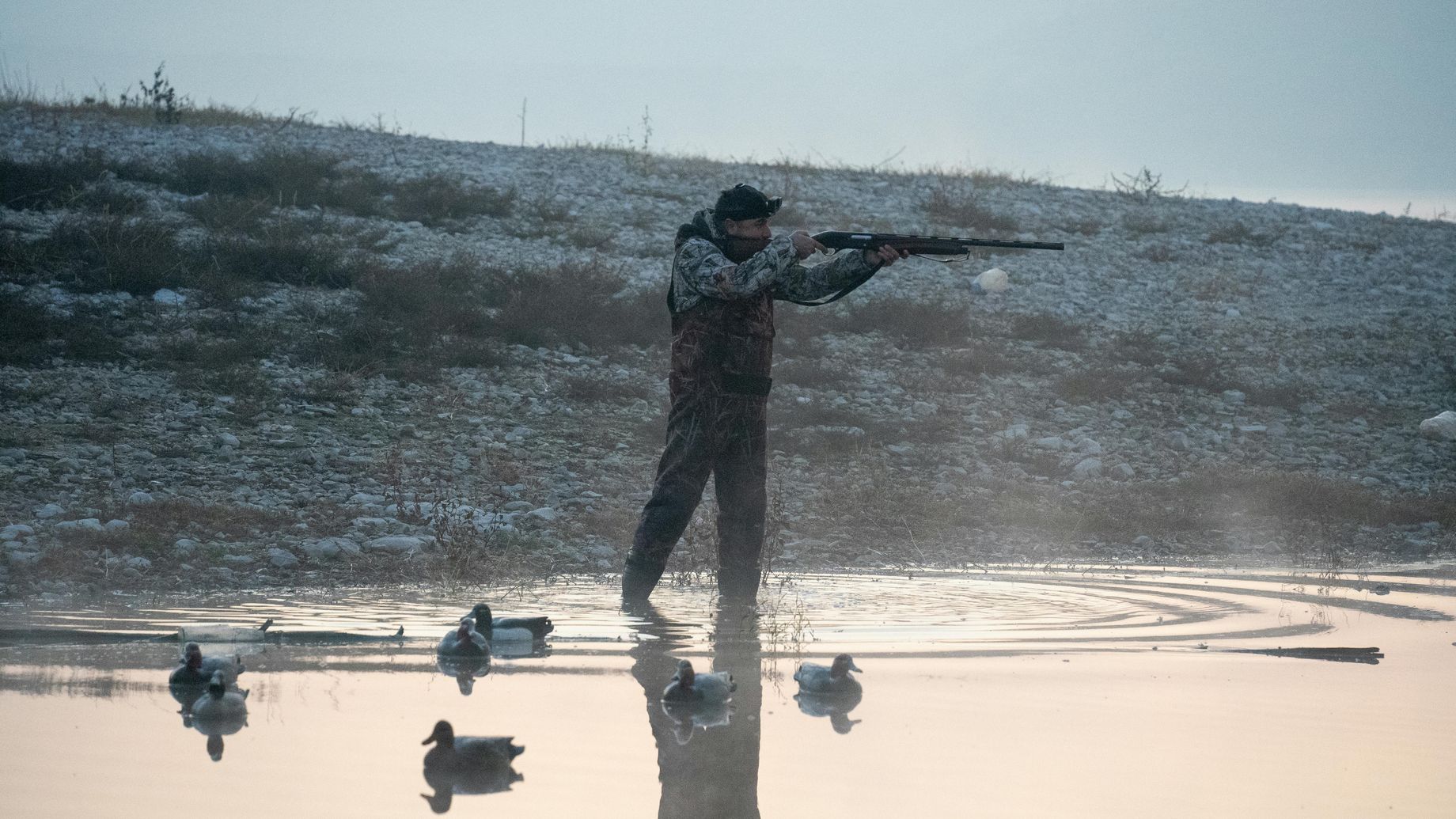 Man Wearing Camouflage Clothing Hunting with a Rifle, and Ducks on a Pond