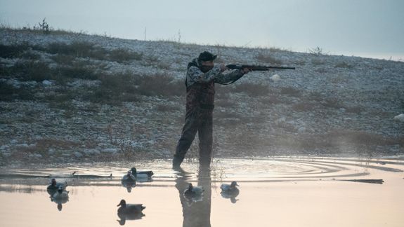 Man Wearing Camouflage Clothing Hunting with a Rifle, and Ducks on a Pond