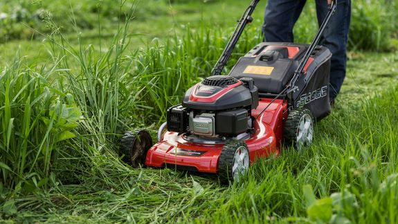 Do you offer landscaping services?