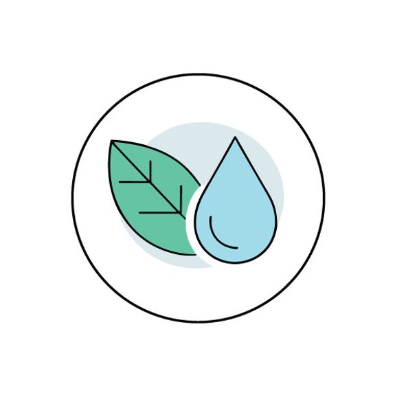 Eco-Friendly & Safe Cleaning