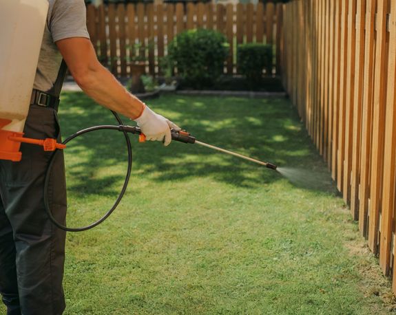 Protecting Texas Homes and Businesses with Proven Pest Control Solutions