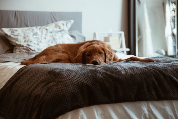 Extended Stays