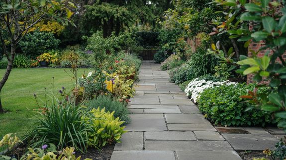 How do you determine the cost of brush removal services?