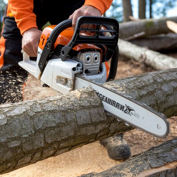Concerned About a Dangerous Tree or Overgrown Yard? Highland Treeworks Delivers Trusted Tree Services Across North Carolina