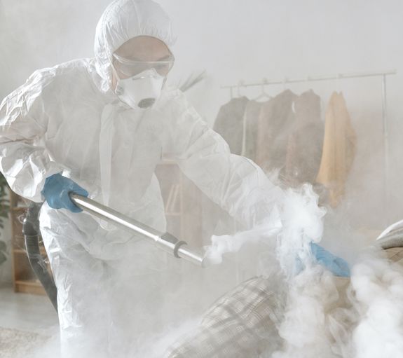 Termite Solutions