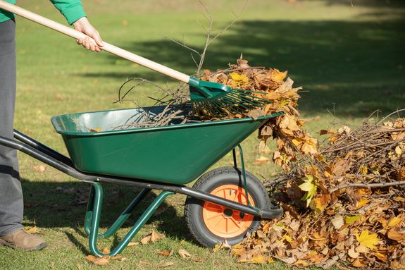 Expert Lawn Care and Pressure Washing Services in Green Bay, WI