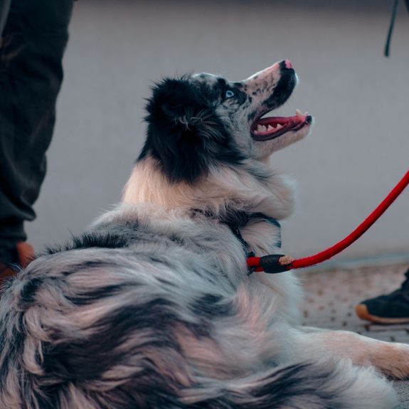 On-Demand Walks