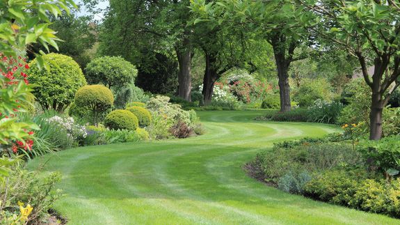 Do you offer free estimates for hedge trimming services?