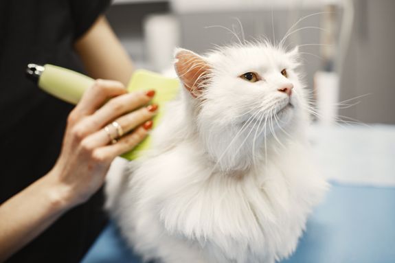 Nail Trimming