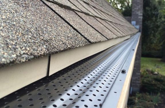 Banish Moss and Algae, Enjoy Peace of Mind in Shelton, WA