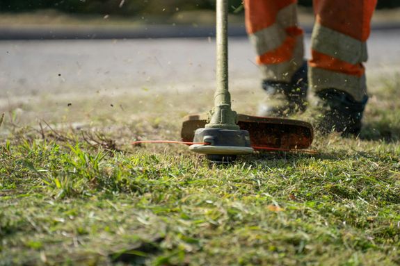 A Person Using a Grass Cutter Tool Green Grass