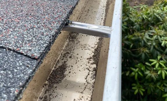 Moss and Algae Removal