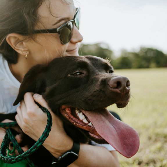 Anxiety-Relief Companion Time