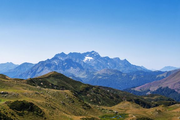 Expert-Led Tours and Workshops