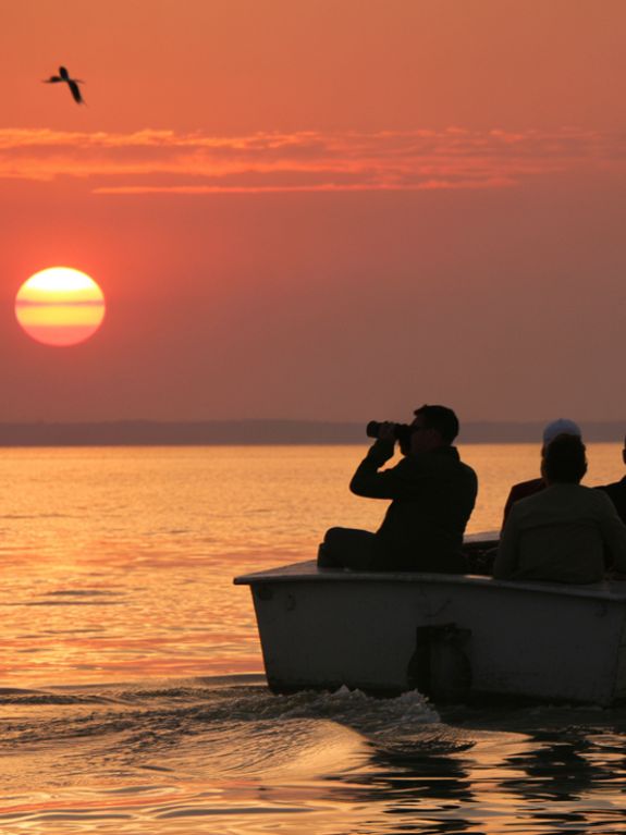 Sunset Wildlife Cruise
