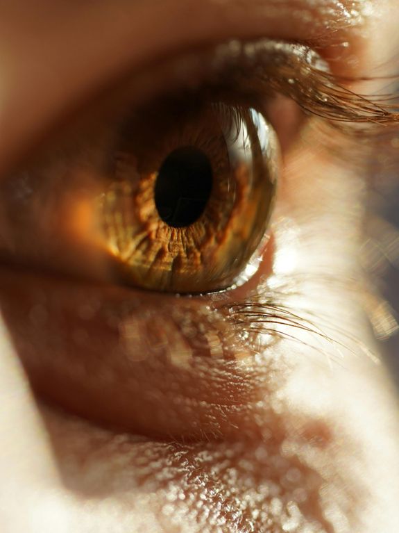 Contacts