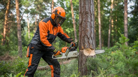 Expert Tree Service in Alamogordo, NM - Alamo Arborcare