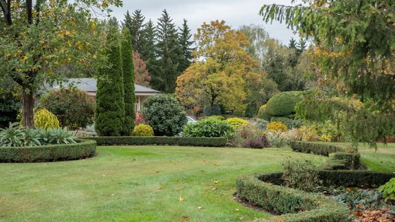 Transform Your Outdoor Spaces with Full Bloom Landscapes.