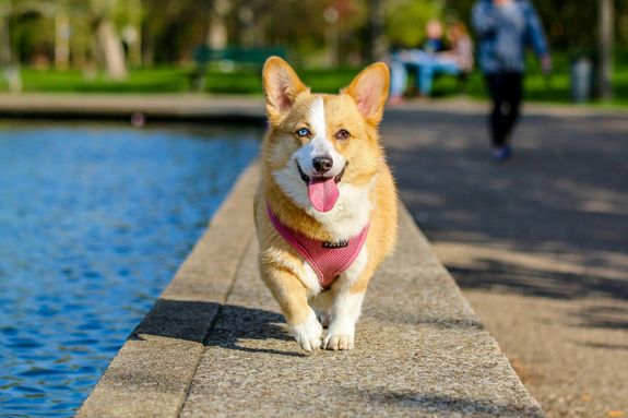 Regular Walks