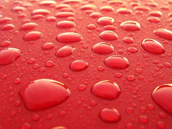 Water Droplets on Red Surface