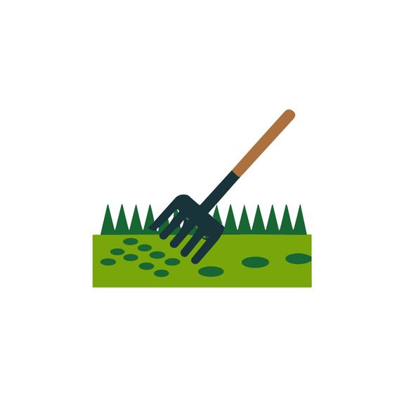 Lawn Aeration