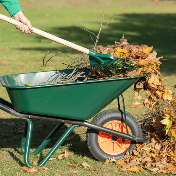 Seasonal Cleanups – A Fresh Start for Every Season