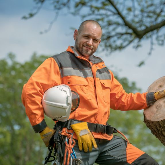 Meet Ethan Carter - Your Local Tree Experts in Virginia