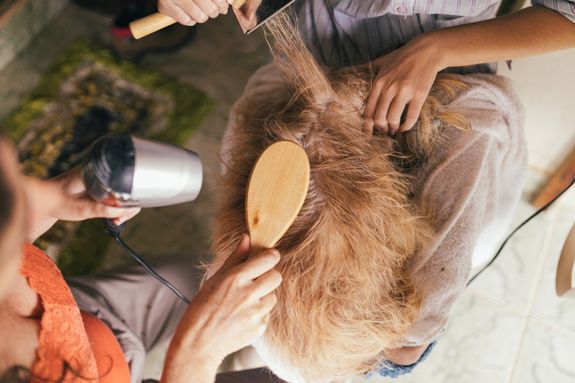 person pouring water on womans hair