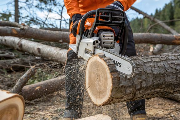 Transforming Your Trees into Thriving Assets