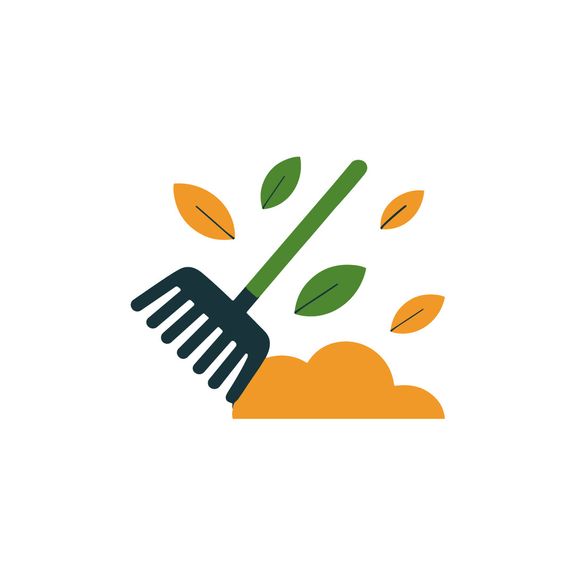 Seasonal Clean-Up
