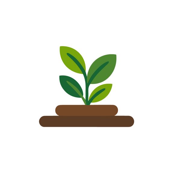 Mulch Installation