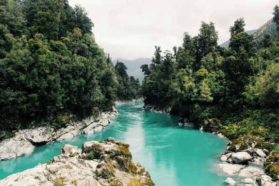 Scenic View of River