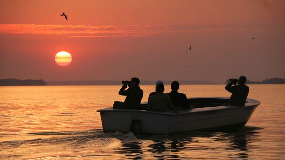 Experience Unforgettable African Safaris
