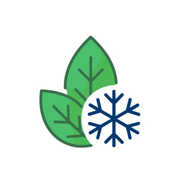 Eco-Friendly De-Icing Options